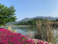 -古堰画乡景区