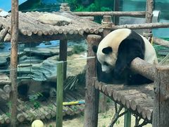 -大连森林动物园