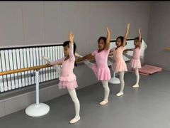 -蒲公英舞蹈艺术中心(促进路校区)