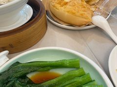 -益健美食大广场(北岭店)