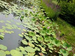 -武清南湖绿博园