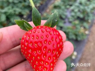再次来到石榴红村，也是第一次带我儿子来