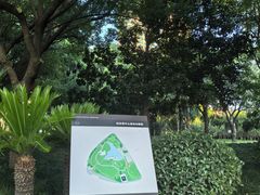 -陆家嘴中心绿地