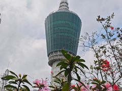 -梧桐山风景名胜区