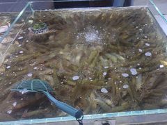 -聚盛源蒸汽海鲜火锅烤肉自助(巨川金海岸购物广场店)