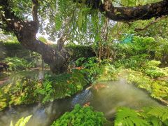 -Chom Cafe and Restaurant