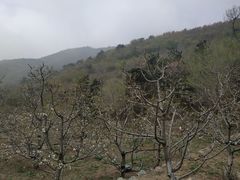 -妙峰山风景名胜区