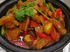 -石头咕(葵蓬店)