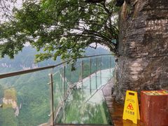 -矮寨·十八洞·德夯大峡谷景区