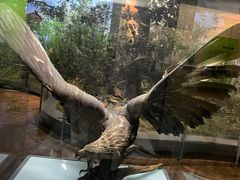 -陕西自然博物馆