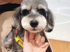 -FAELING PETS美天灵宠物(合生汇店)