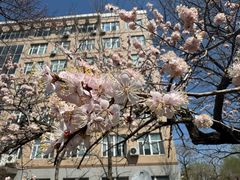 -吉林大学(南岭校区)