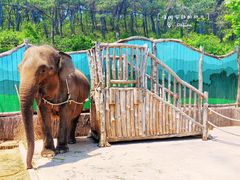 -大连森林动物园