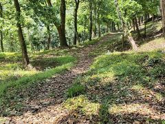 -平湖九龙山旅游度假区