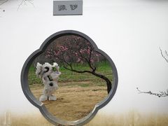 -苏州上方山国家森林公园