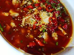 水煮牛蛙-肥仔文澳门猪骨煲(南京西路店)