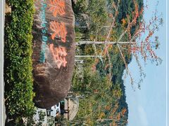 -海南槟榔谷黎苗文化旅游区