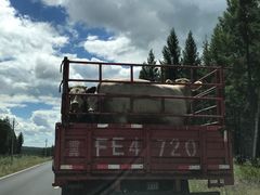 -塞罕坝国家级自然保护区