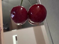 -北京海德酒店温泉
