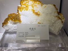 -湖南省地质博物馆