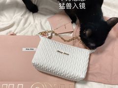 -MIU MIU(上海商城店)