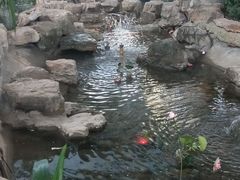 -森谷美食公园(杨行店)
