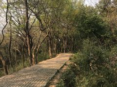 -苏州上方山国家森林公园