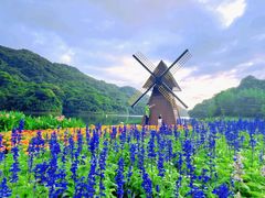 -广州市石门国家森林公园