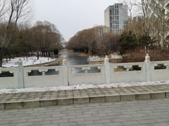 -大望京公园