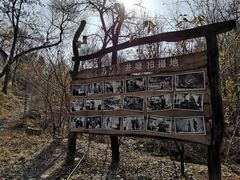 -井塘古村
