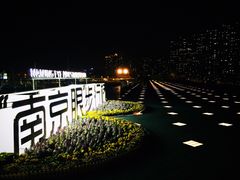 -南京眼步行桥