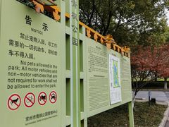 -青枫公园