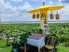 -七的湖·晚芳亭·阳澄湖农家菜·大闸蟹(莲花岛店)