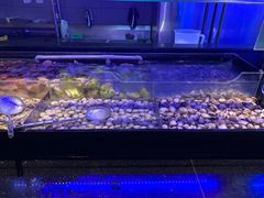 -盛江山自助料理(奥莱锦辉购物广场店)