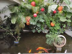 -漫笙舍Manse·咖啡·民宿