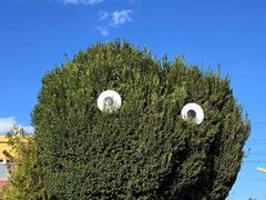 -特克斯八卦城