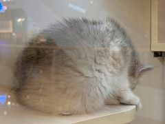 -万达广场(南宁青秀店)