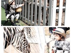 -大连铭湖国际观光牧场