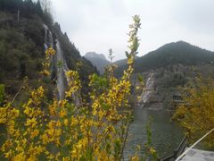 -黄花溪