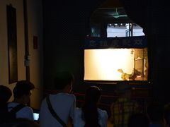 -乌镇东栅景区-应家桥皮影戏馆