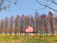 -阳澄湖半岛旅游度假区