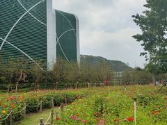 -横琴购口岸商业广场