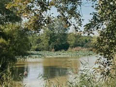 -西安浐灞国家湿地公园