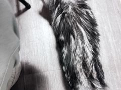 -爱侣宠医·鹦鹉专科·小型哺乳类·异宠专科(灵石路店)