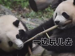 -日上三甘(三里屯店)