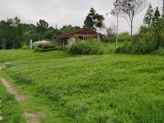 -桤木河湿地公园