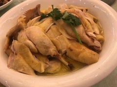 -东豪园林海鲜酒家(南港路辅路店)