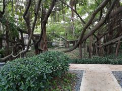 -台山颐和温泉城