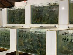 -海盗餐厅