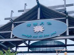 -荷塘月色湿地公园·向阳花洲